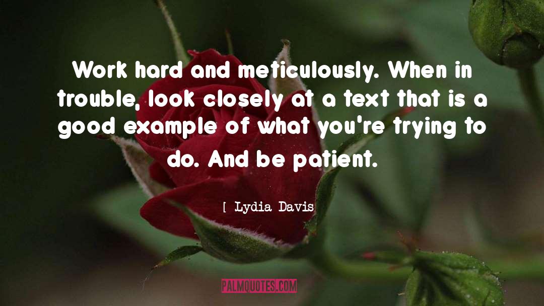 Lydia Davis Quotes: Work hard and meticulously. When