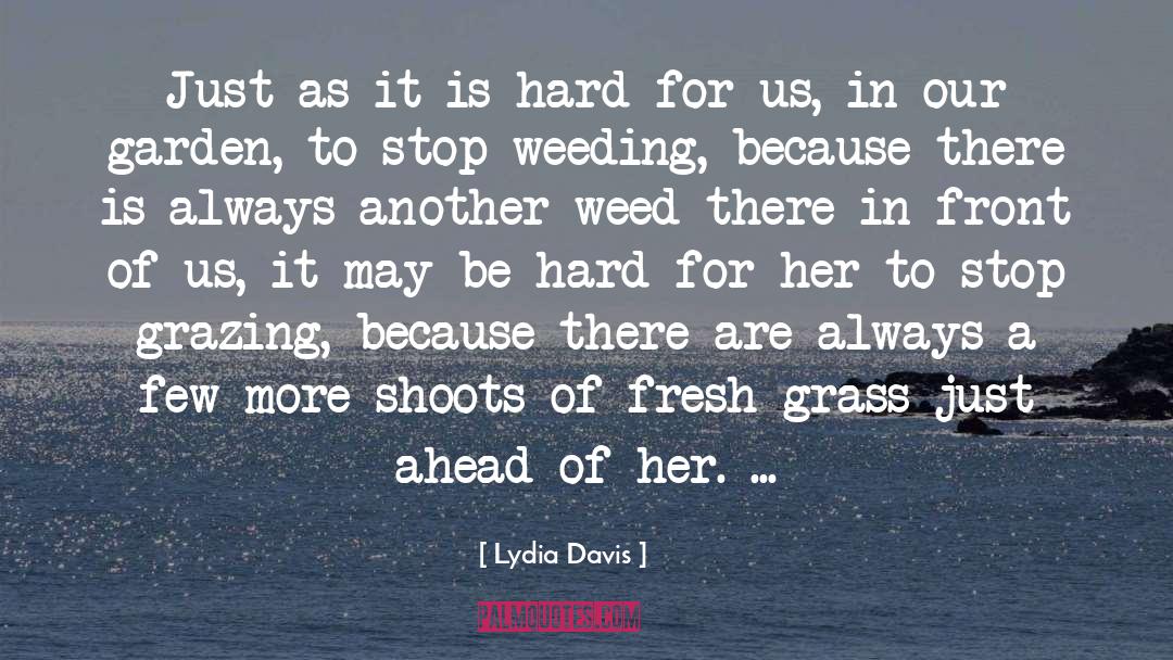 Lydia Davis Quotes: Just as it is hard