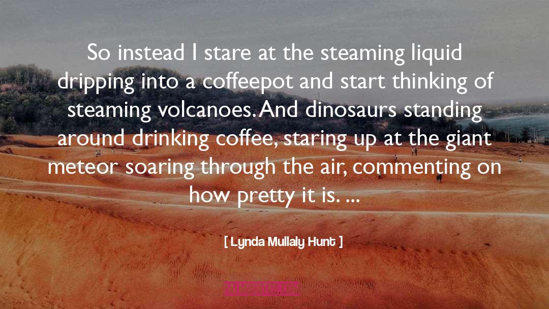 Lynda Mullaly Hunt Quotes: So instead I stare at