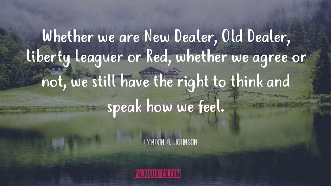 Lyndon B. Johnson Quotes: Whether we are New Dealer,