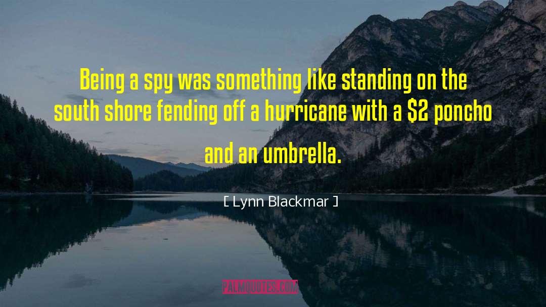 Lynn Blackmar Quotes: Being a spy was something