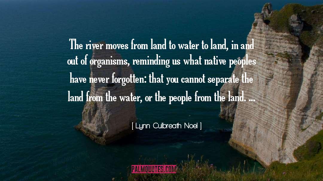 Lynn Culbreath Noel Quotes: The river moves from land