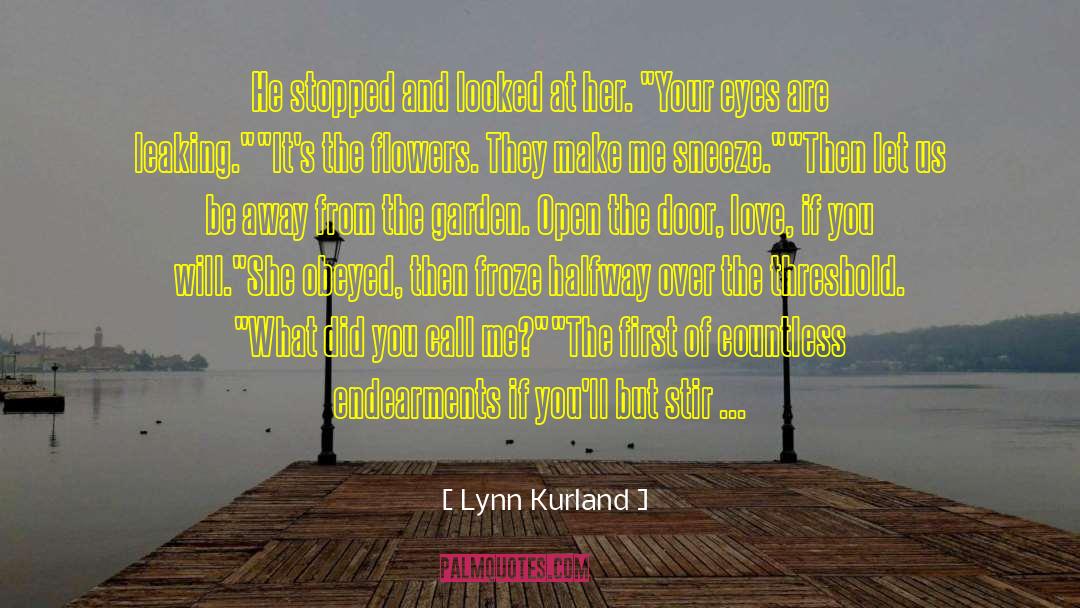 Lynn Kurland Quotes: He stopped and looked at