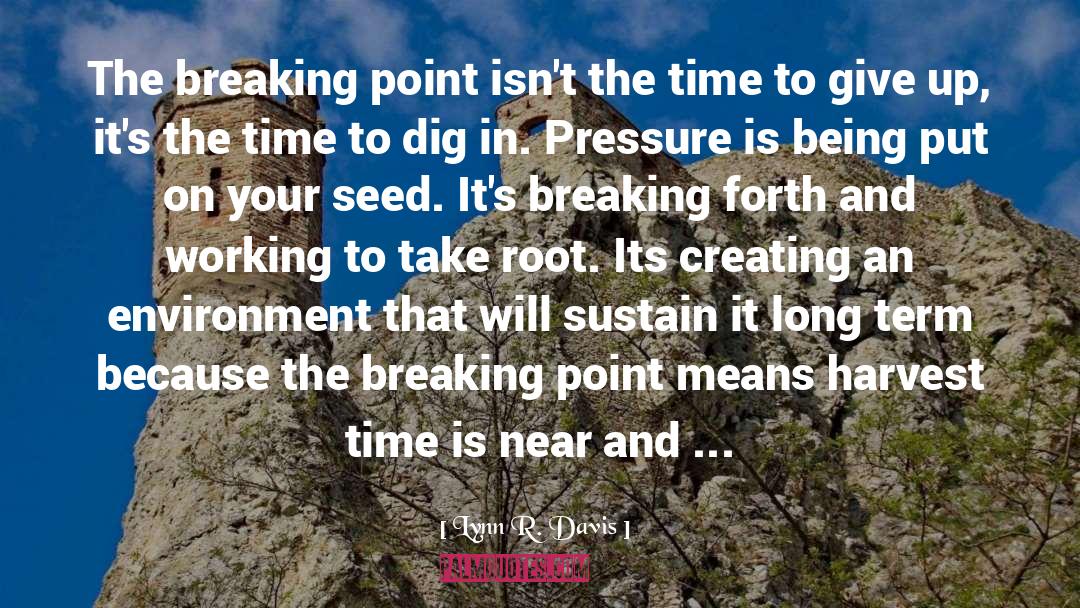 Lynn R. Davis Quotes: The breaking point isn't the
