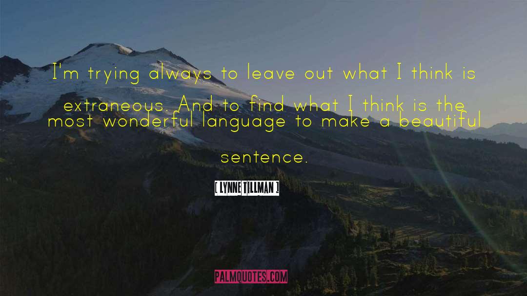 Lynne Tillman Quotes: I'm trying always to leave