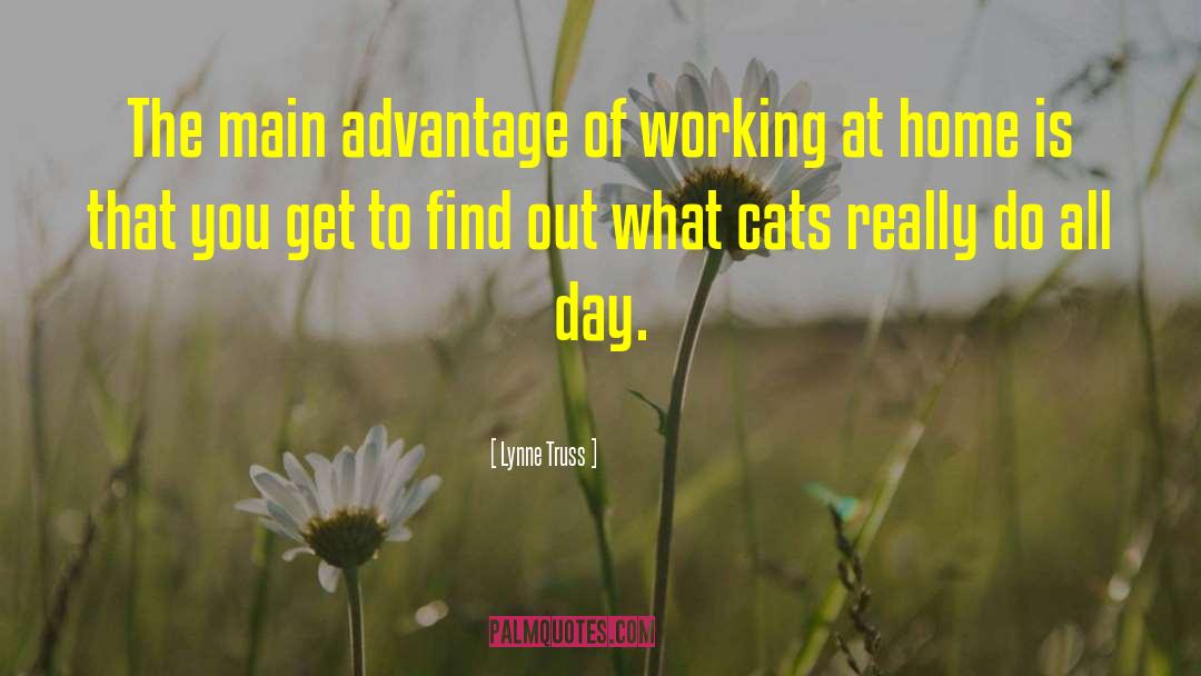Lynne Truss Quotes: The main advantage of working