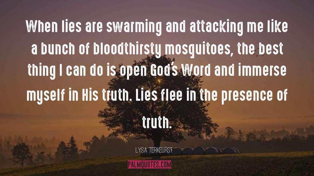 Lysa TerKeurst Quotes: When lies are swarming and