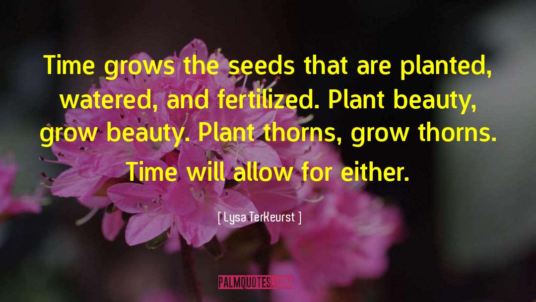 Lysa TerKeurst Quotes: Time grows the seeds that