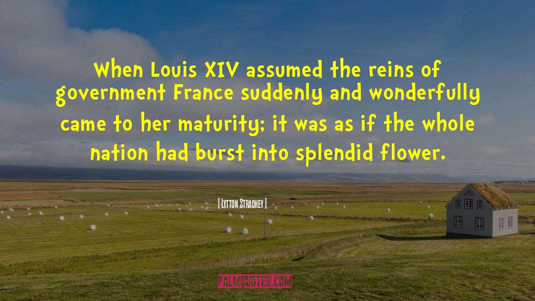 Lytton Strachey Quotes: When Louis XIV assumed the