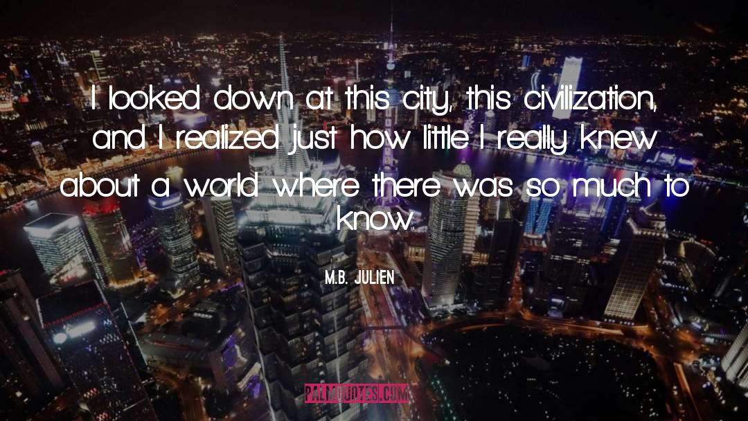 M.B. Julien Quotes: I looked down at this