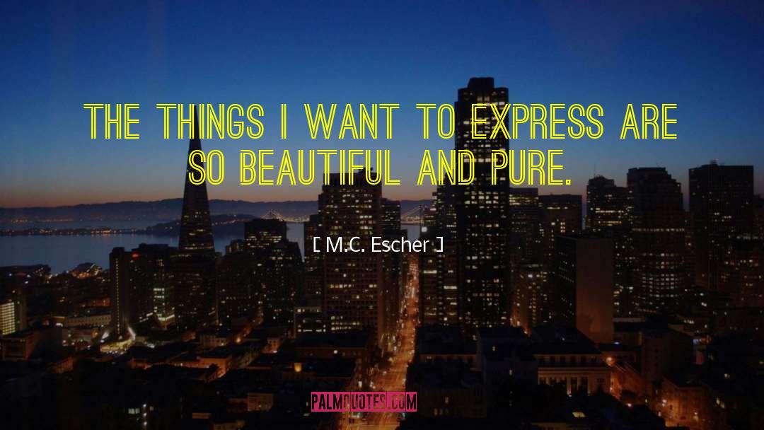 M.C. Escher Quotes: The things I want to