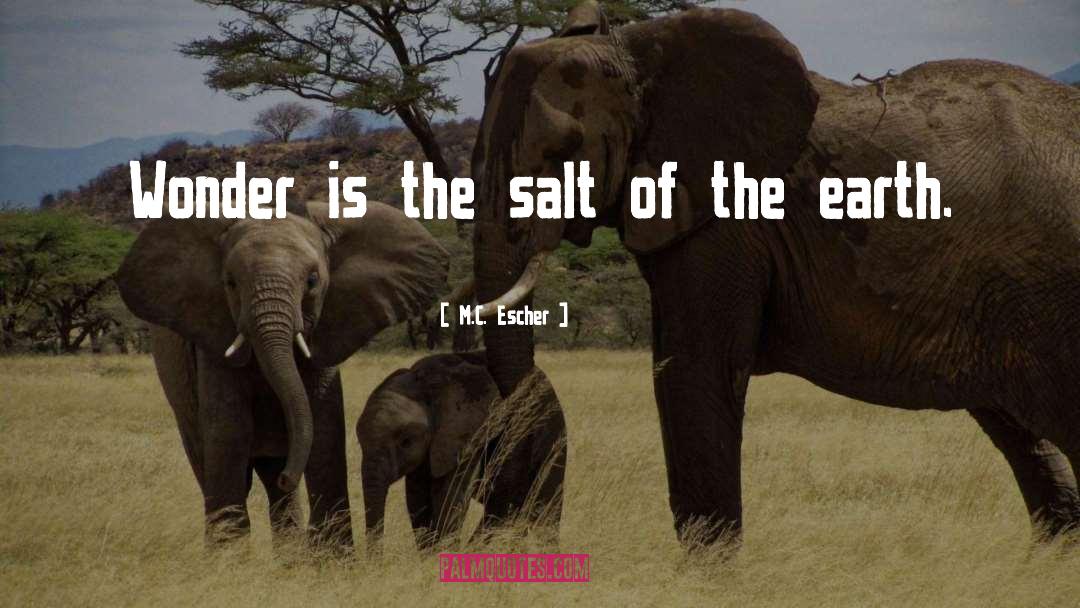 M.C. Escher Quotes: Wonder is the salt of