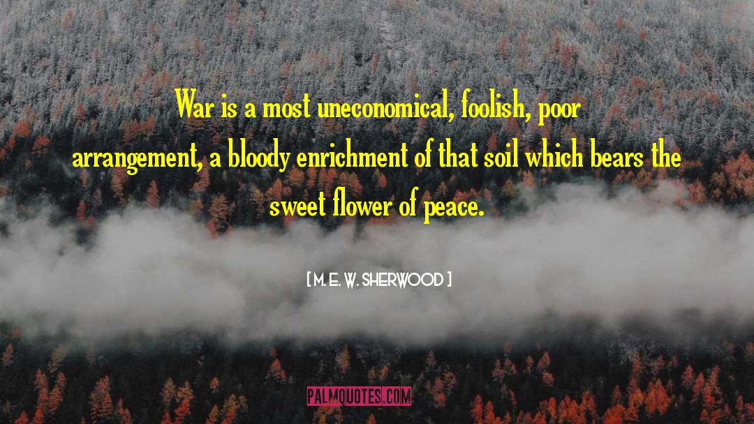 M. E. W. Sherwood Quotes: War is a most uneconomical,