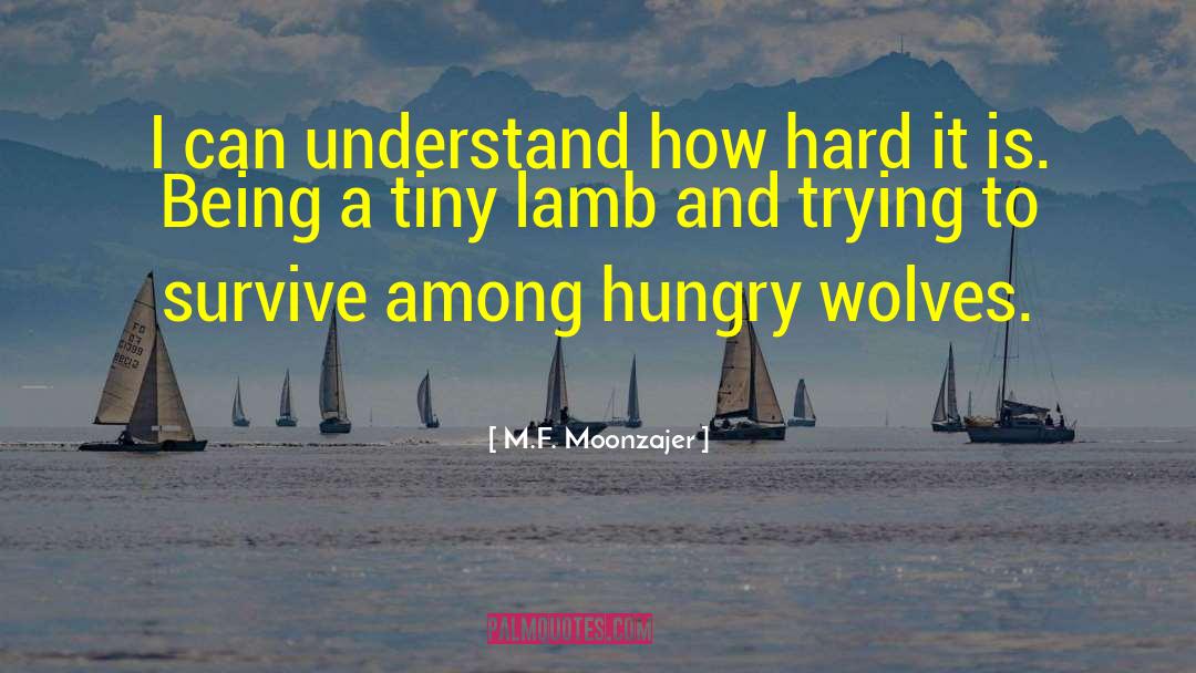 M.F. Moonzajer Quotes: I can understand how hard