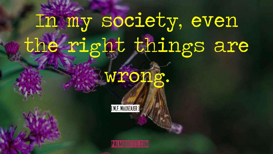 M.F. Moonzajer Quotes: In my society, even the