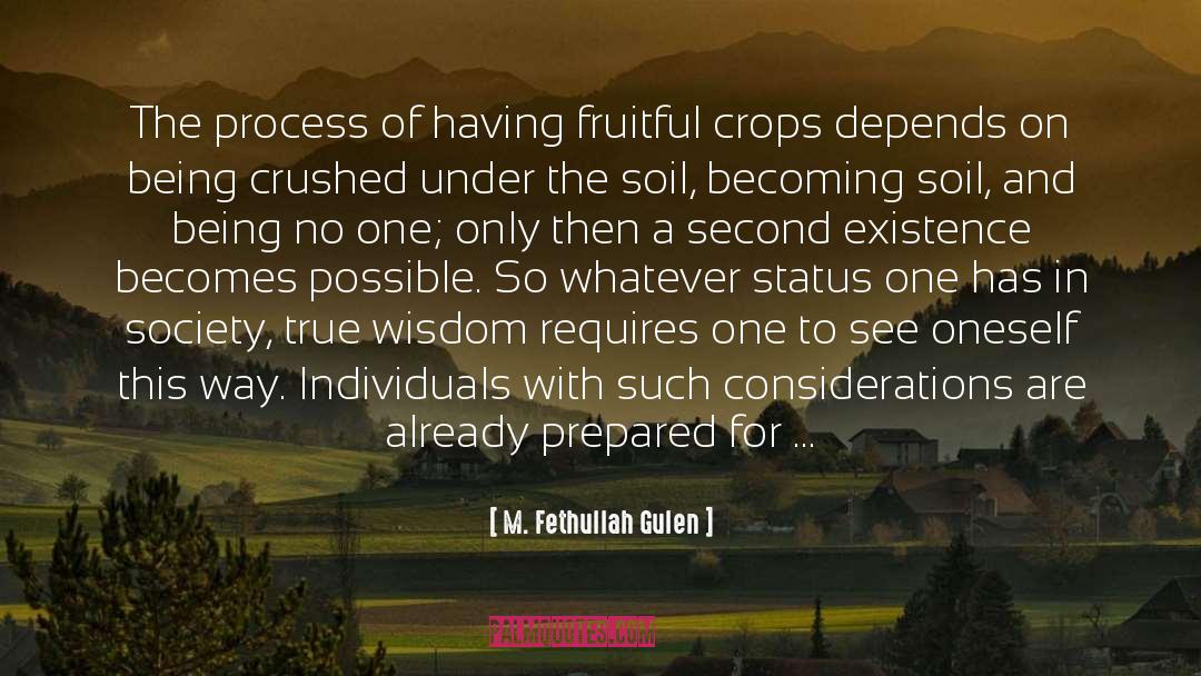 M. Fethullah Gulen Quotes: The process of having fruitful