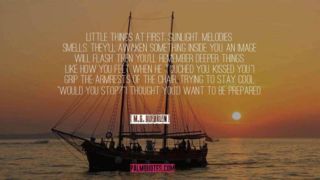 M.G. Buehrlen Quotes: Little things at first. Sunlight.