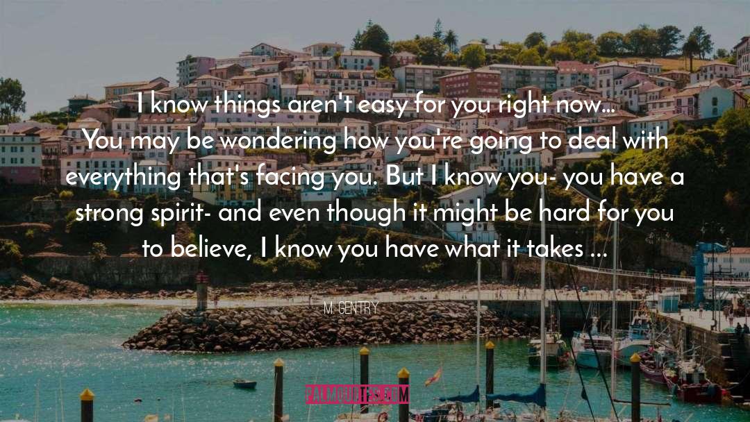 M. Gentry Quotes: I know things aren't easy