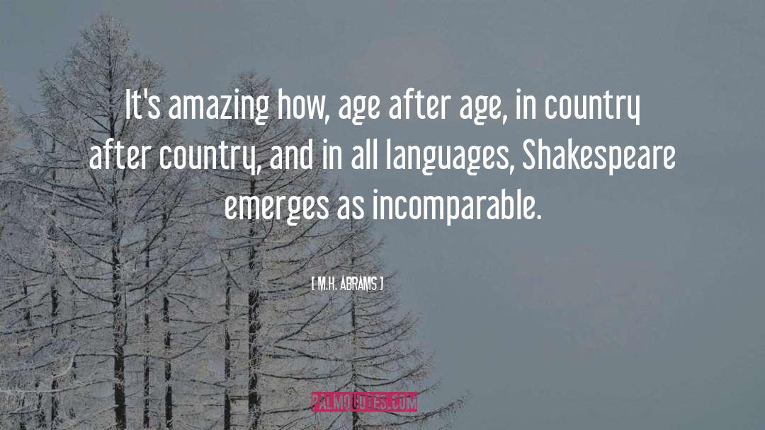 M.H. Abrams Quotes: It's amazing how, age after