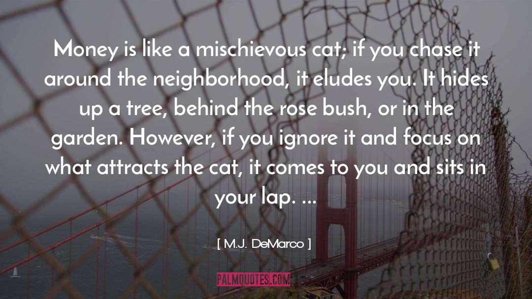 M.J. DeMarco Quotes: Money is like a mischievous