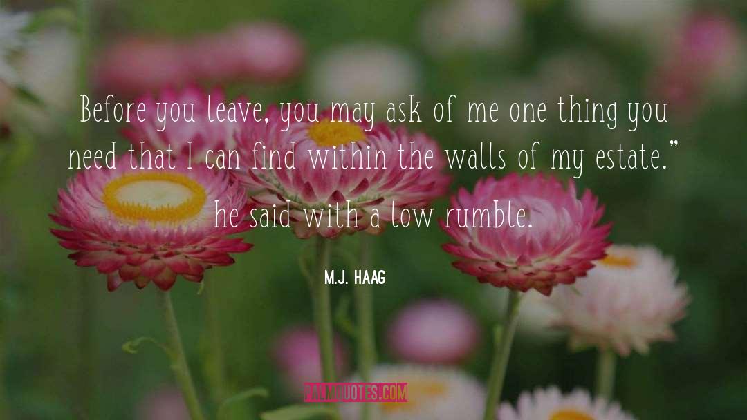 M.J. Haag Quotes: Before you leave, you may