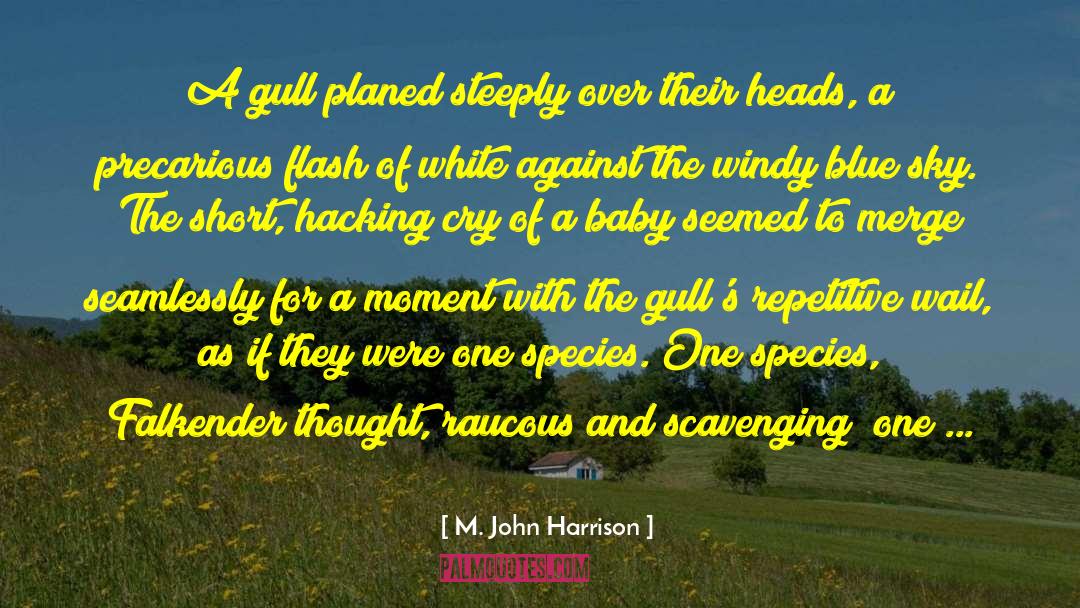 M. John Harrison Quotes: A gull planed steeply over