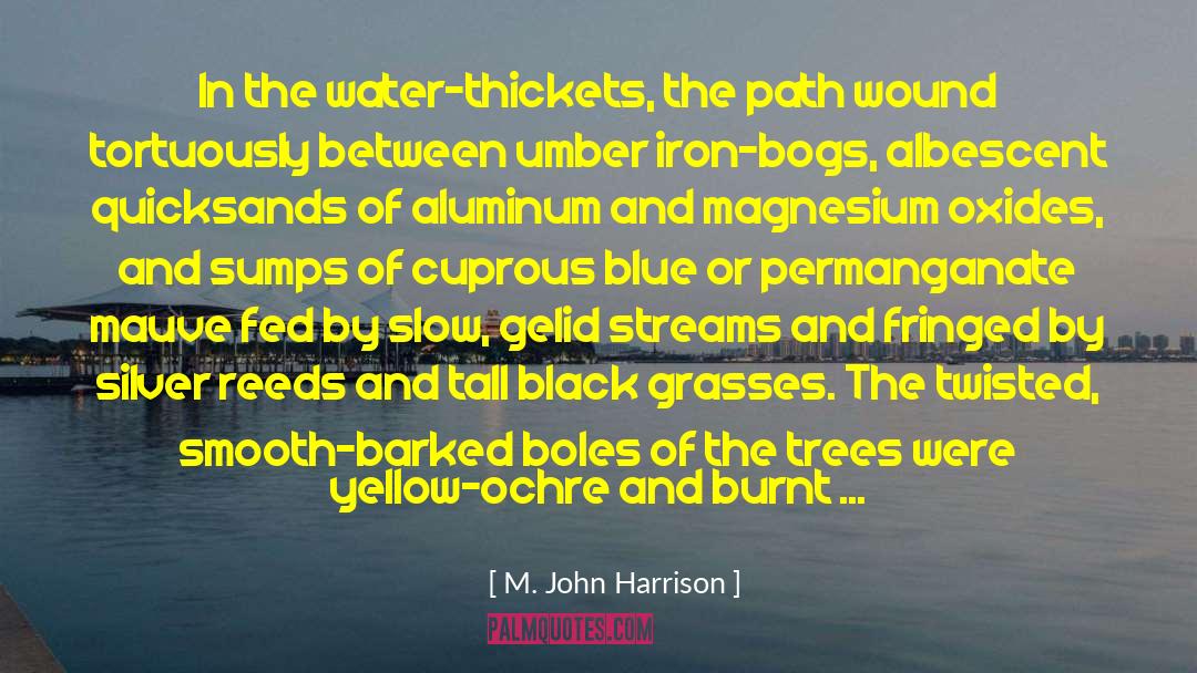 M. John Harrison Quotes: In the water-thickets, the path