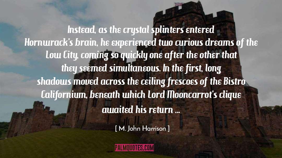 M. John Harrison Quotes: Instead, as the crystal splinters