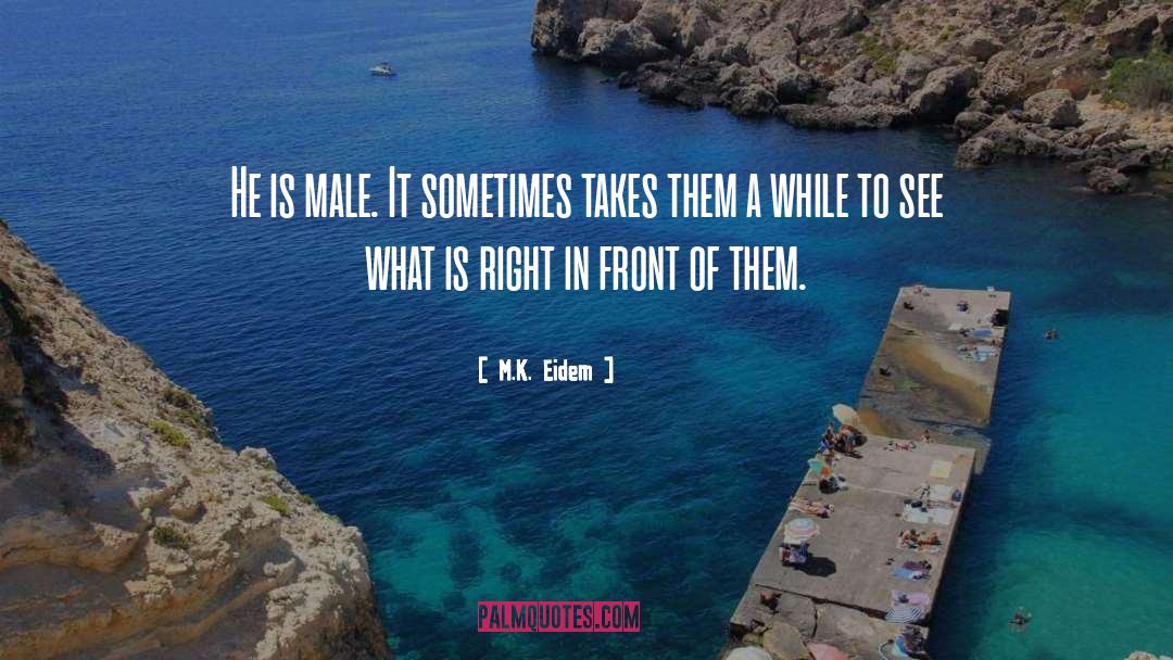 M.K. Eidem Quotes: He is male. It sometimes
