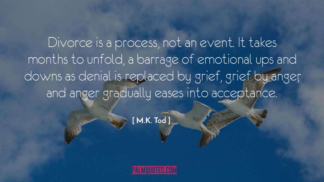 M.K. Tod Quotes: Divorce is a process, not