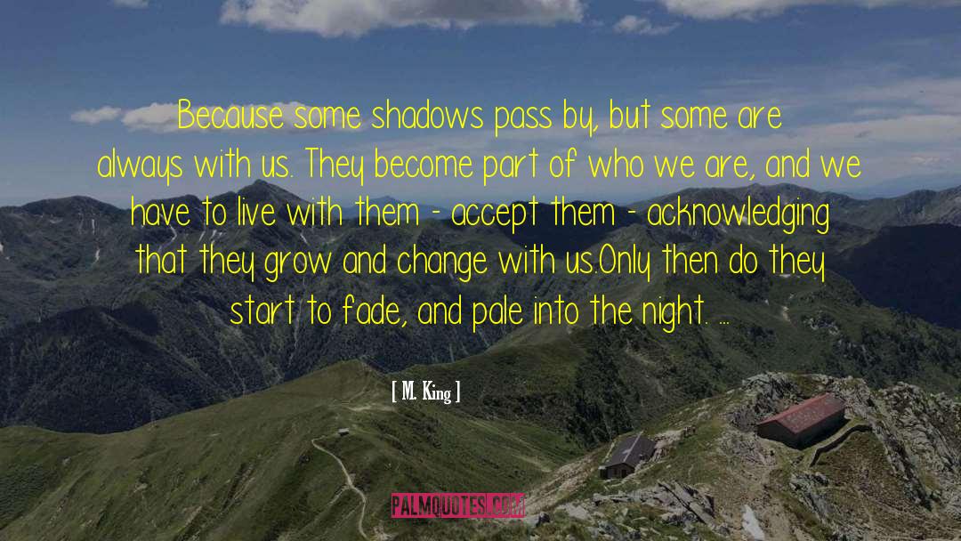 M. King Quotes: Because some shadows pass by,