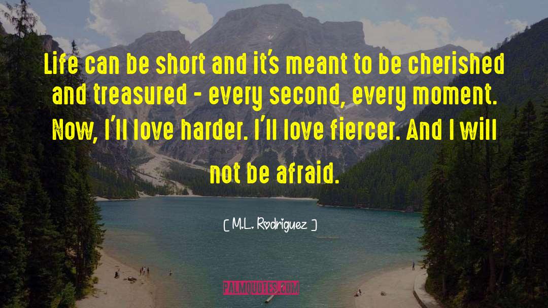 M.L. Rodriguez Quotes: Life can be short and