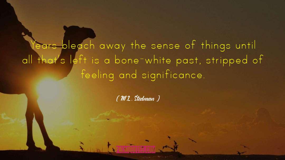 M.L. Stedman Quotes: Years bleach away the sense