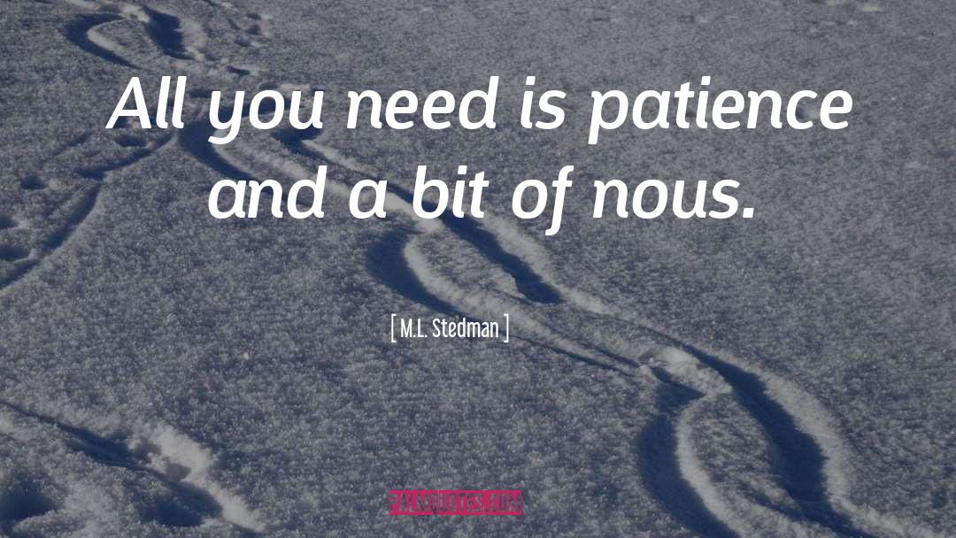 M.L. Stedman Quotes: All you need is patience