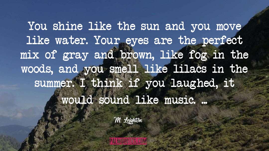 M. Leighton Quotes: You shine like the sun