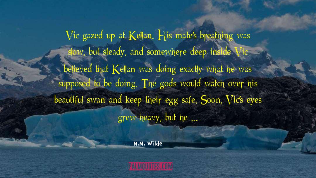 M.M. Wilde Quotes: Vic gazed up at Kellan.