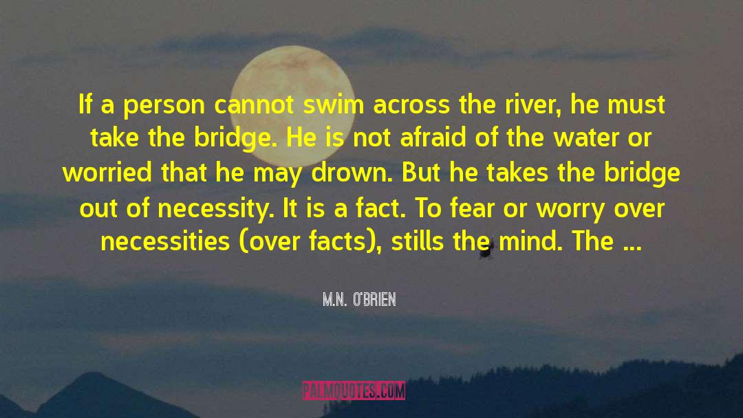 M.N. O’Brien Quotes: If a person cannot swim