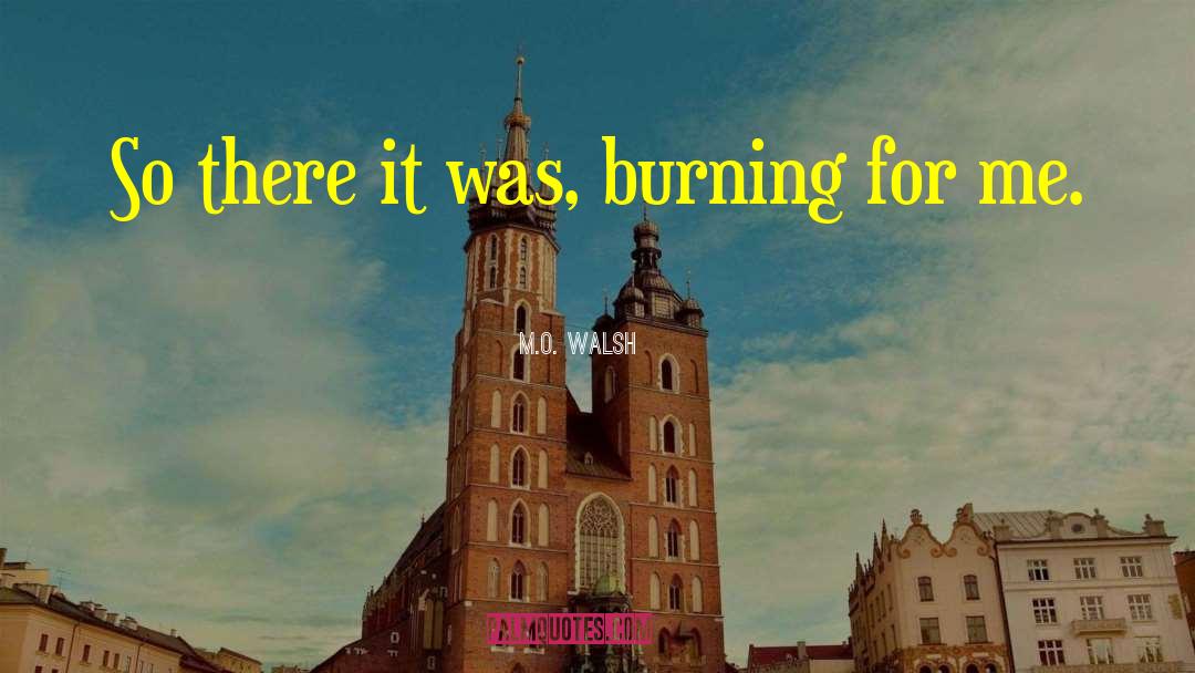 M O Walsh Quotes: So there it was, burning