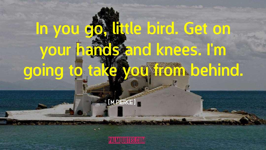 M. Pierce Quotes: In you go, little bird.