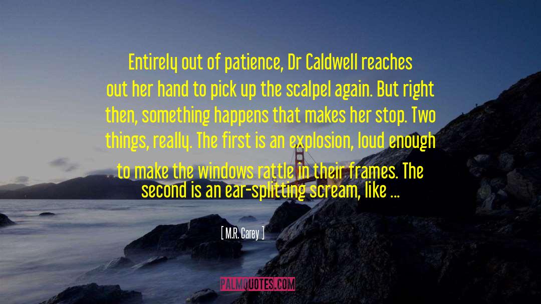 M.R. Carey Quotes: Entirely out of patience, Dr