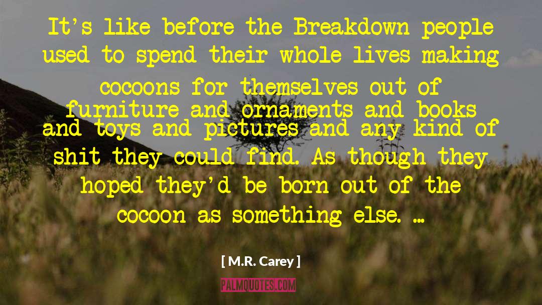 M.R. Carey Quotes: It's like before the Breakdown