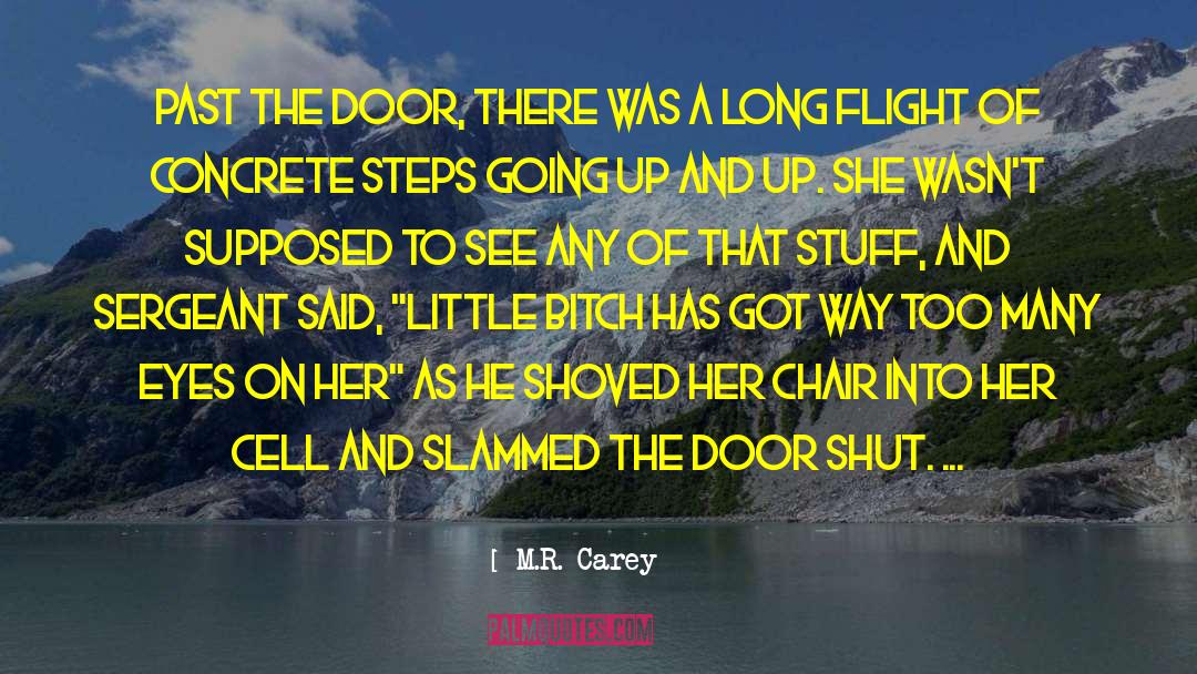 M.R. Carey Quotes: Past the door, there was