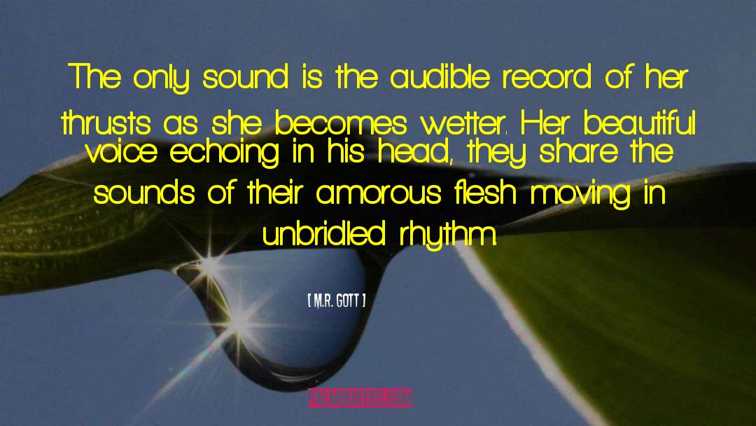 M.R. Gott Quotes: The only sound is the