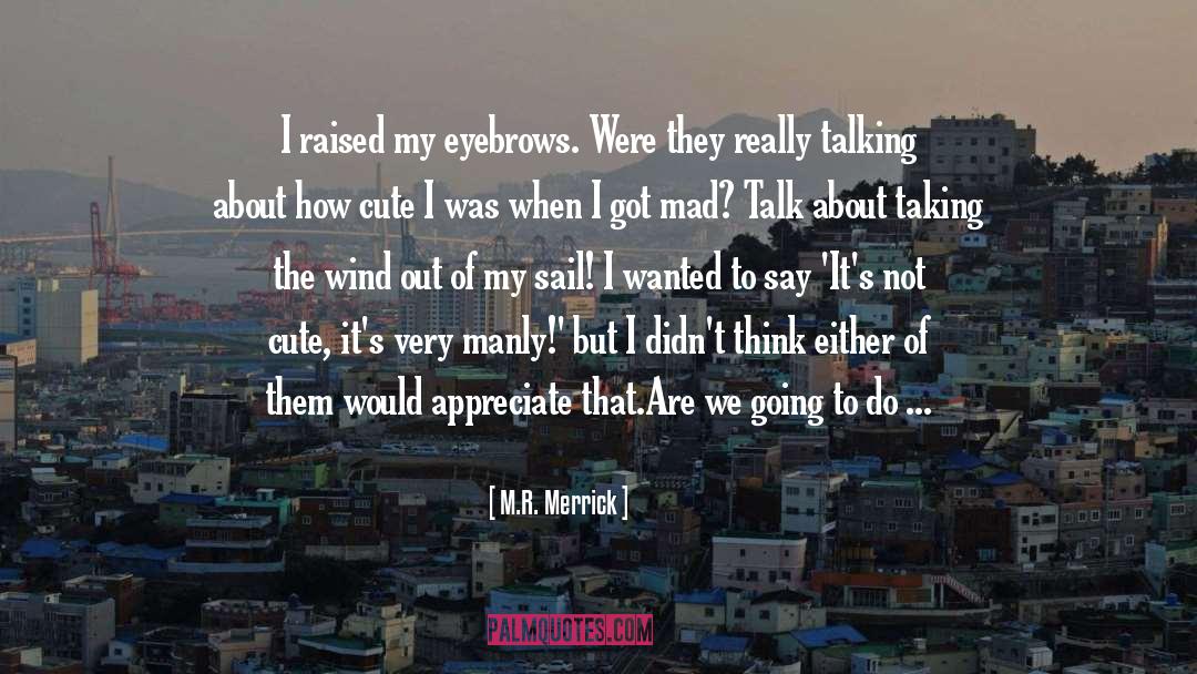 M.R. Merrick Quotes: I raised my eyebrows. Were