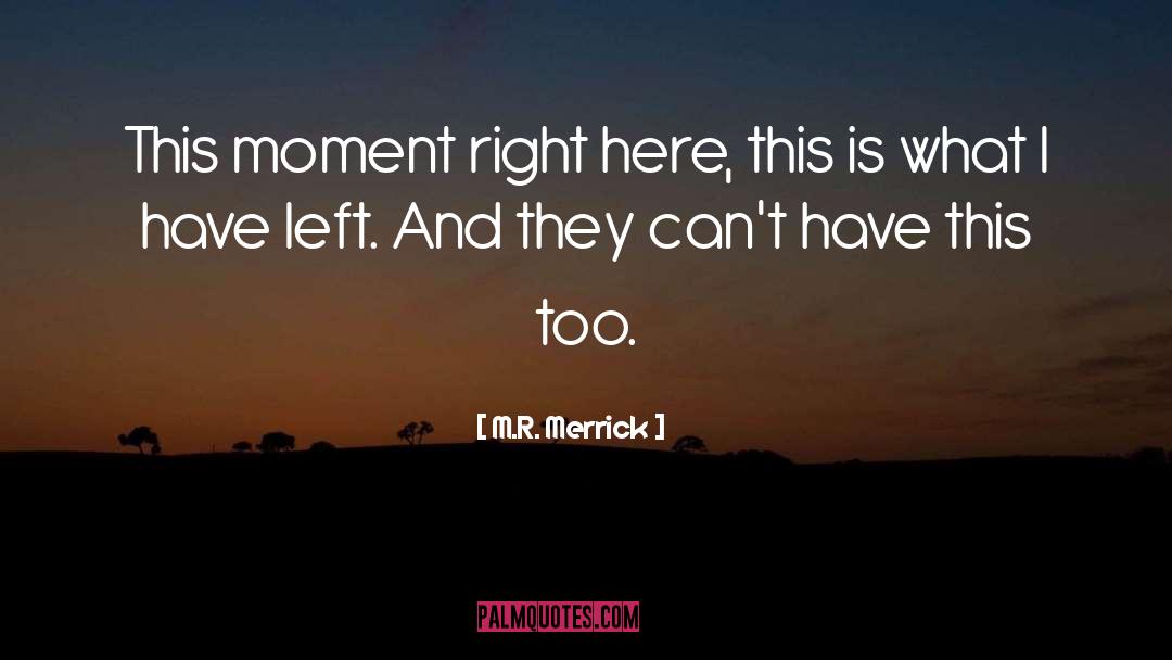 M.R. Merrick Quotes: This moment right here, this
