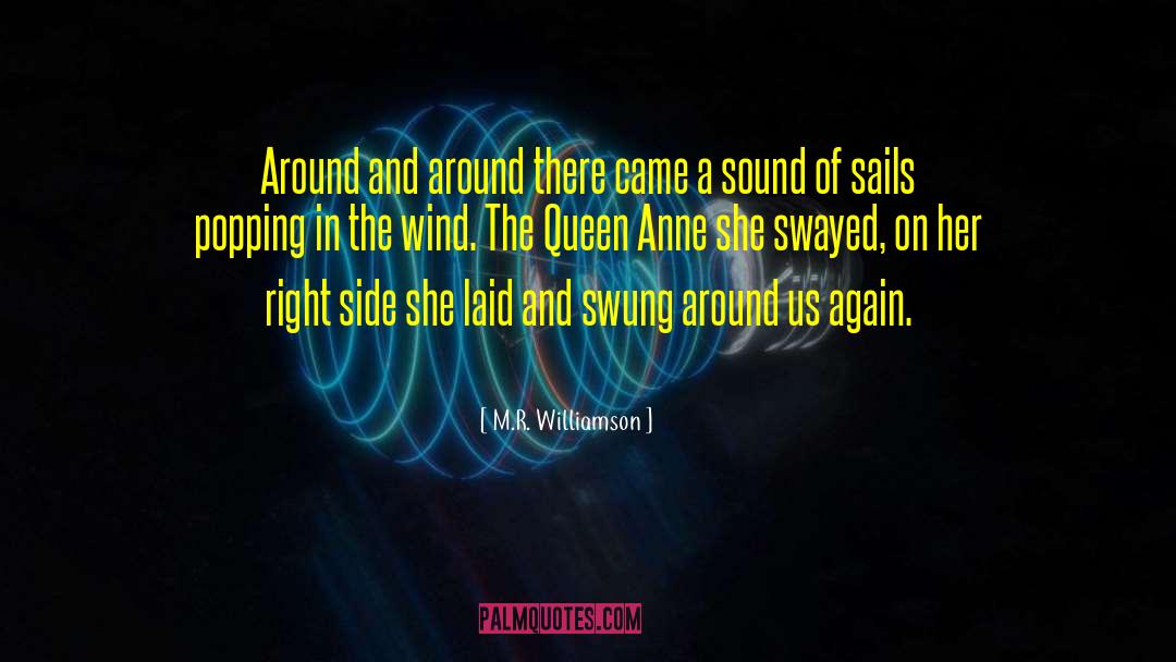 M.R. Williamson Quotes: Around and around there came