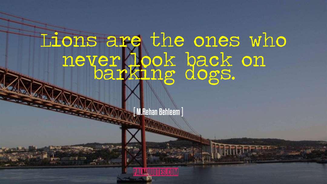 M.Rehan Behleem Quotes: Lions are the ones who