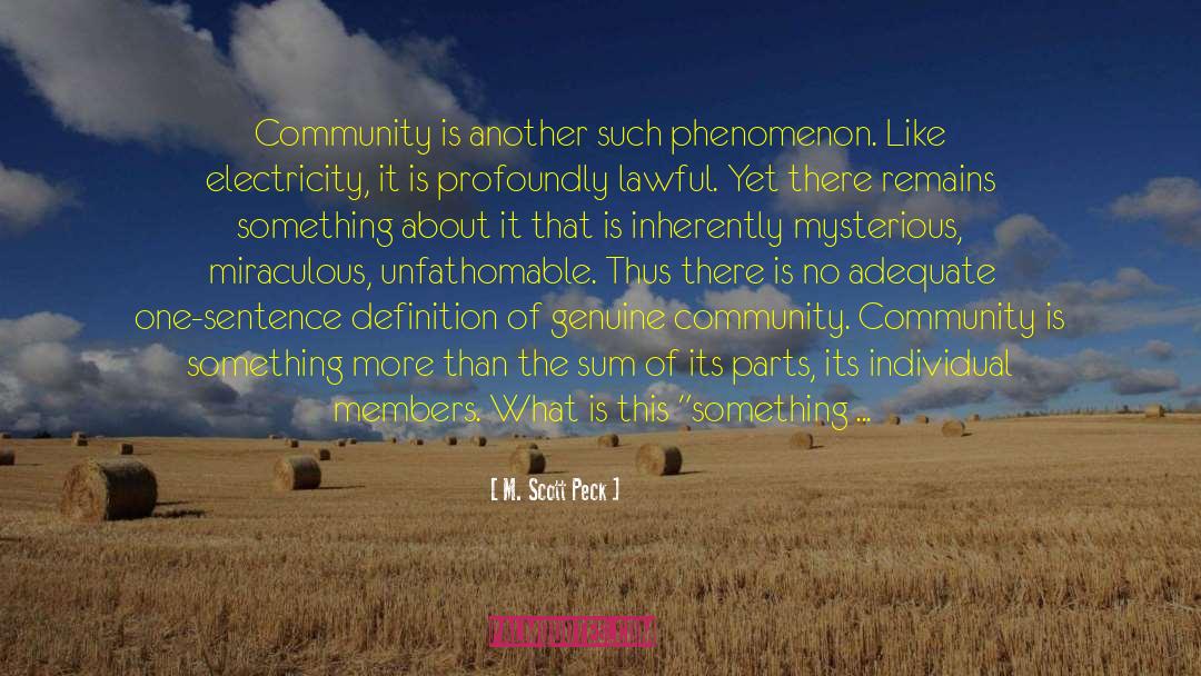 M. Scott Peck Quotes: Community is another such phenomenon.