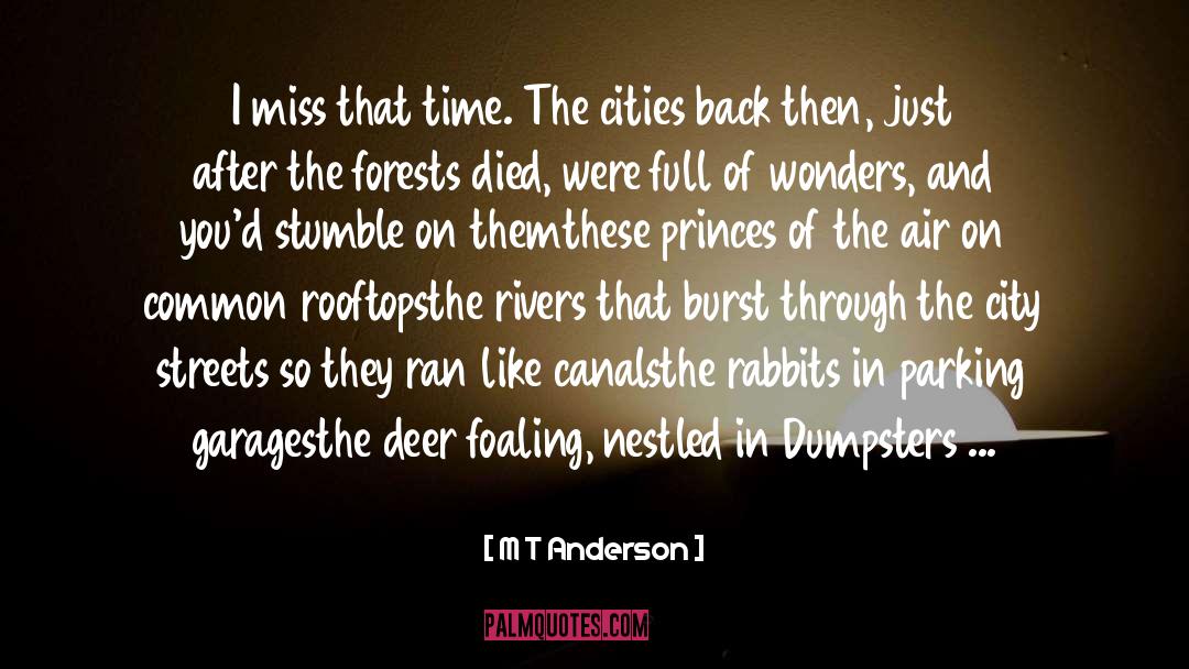 M T Anderson Quotes: I miss that time. The