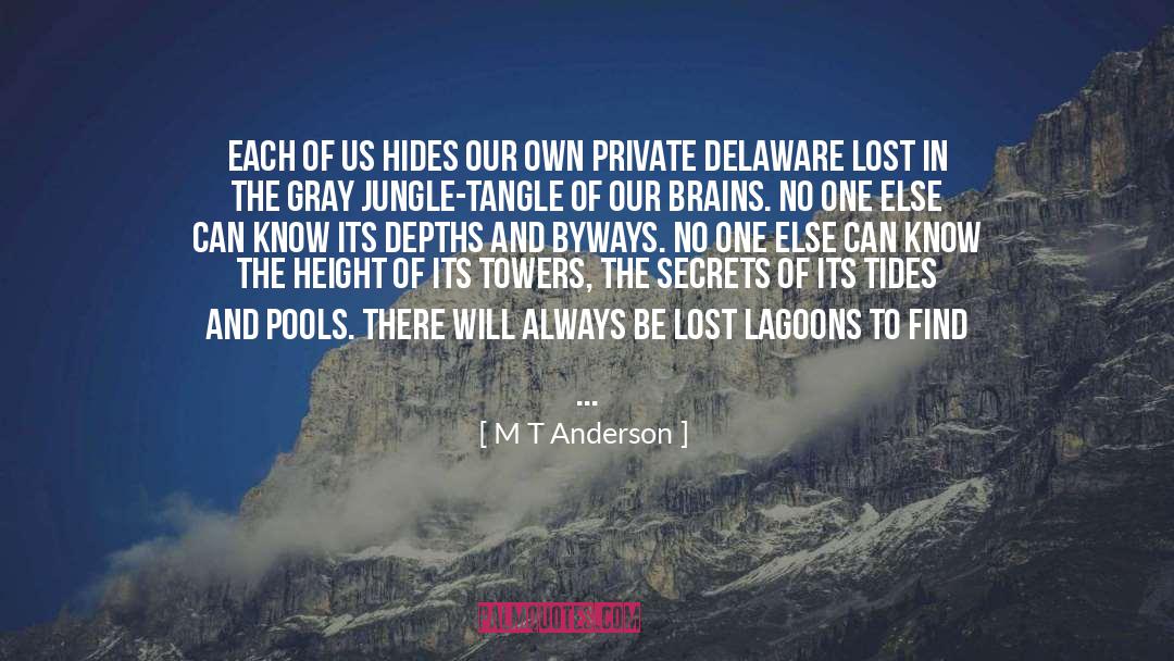 M T Anderson Quotes: Each of us hides our